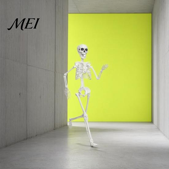Life-like Skeleton Decoration 3ft Life Size Halloween Skeleton, Full Body Posable Plastic Prop, Realistic Poseable Prop Human Bones Model for