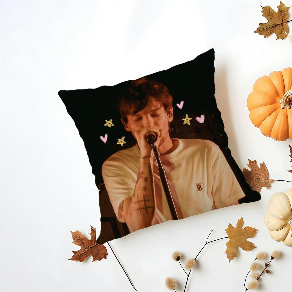 Louis Singer Tomlinsons Cushion Cover Iceland Washable Linen Soft for Daily Sofa Bed Home Room Decor