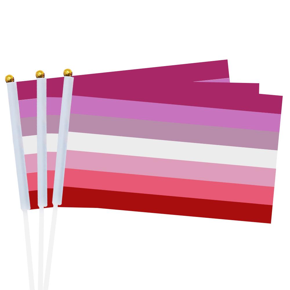 14X21 см Радужный флаг с флагштоком Мини Ручной Радужный флаг Гей ЛГБТ Лесбиянка гомосексуал Бисексуал Пансексуальность Гордость Домашний декор