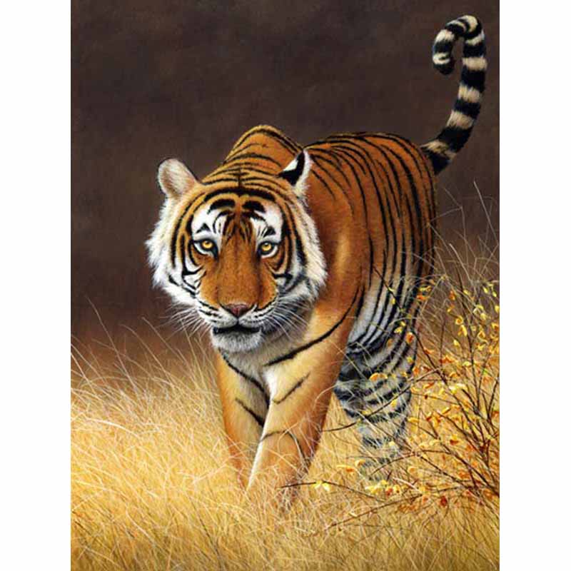 Новый 5D DIY алмазная живопись Тигр Алмазная вышивка животные вышивка крестиком полная квадратная круглая дрель ремесла домашний декор ручной подарок