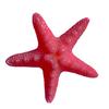 5 шт., украшение в виде морской звезды, пляж, океан, морская звезда, украшение для дома, стены и вечеринки