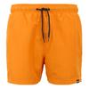 Regatta Mens Mawson II Swim Shorts