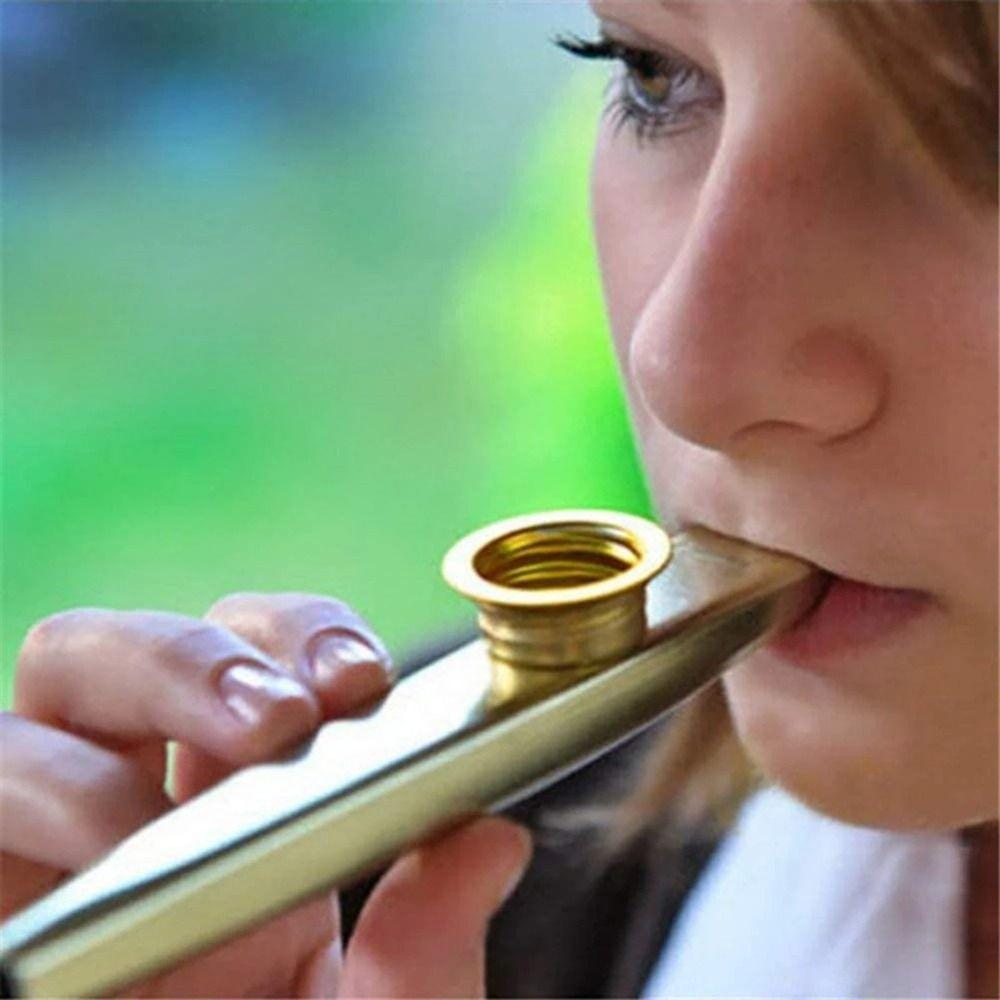 Learn Easily Metal Kazoo Instruments Musical Instruments Flutes  Kids Party Gift