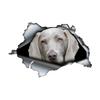 Gray Weimaraner Car Stickers Scratch Blocking Self-Adhesive Waterproof Decal, Used for Car, Laptop, Motorcycle, Van, RV