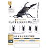 Prosopocoilus Inclinatus Гашапон Игрушки Энциклопедия Миниатюрные Симуляторы Украшения Набор Фигурки Игрушки для Игры