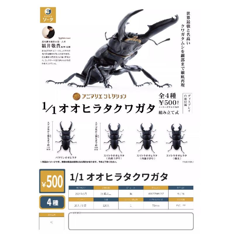 Prosopocoilus Inclinatus Gashapon Toys Encyclopedia Miniature Simulation Ornament Collection Action Figure Toys