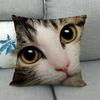 Модные кошки и милые домашние животные Чехлы на подушки из короткого плюша с цифровой печатью для автомобильного дивана офисной подушки домашние товары