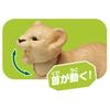 TAKARA TOMY Игрушка динозавр Ania Lion Animal Ages AC-01 (Дети) 3+