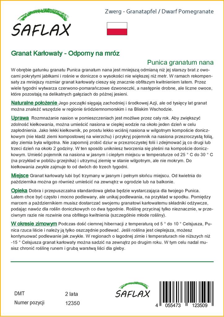 SAFLAX Карликовый гранат - 50 семян - С горшечным субстратом для лучшего выращивания - Punica granatum nana