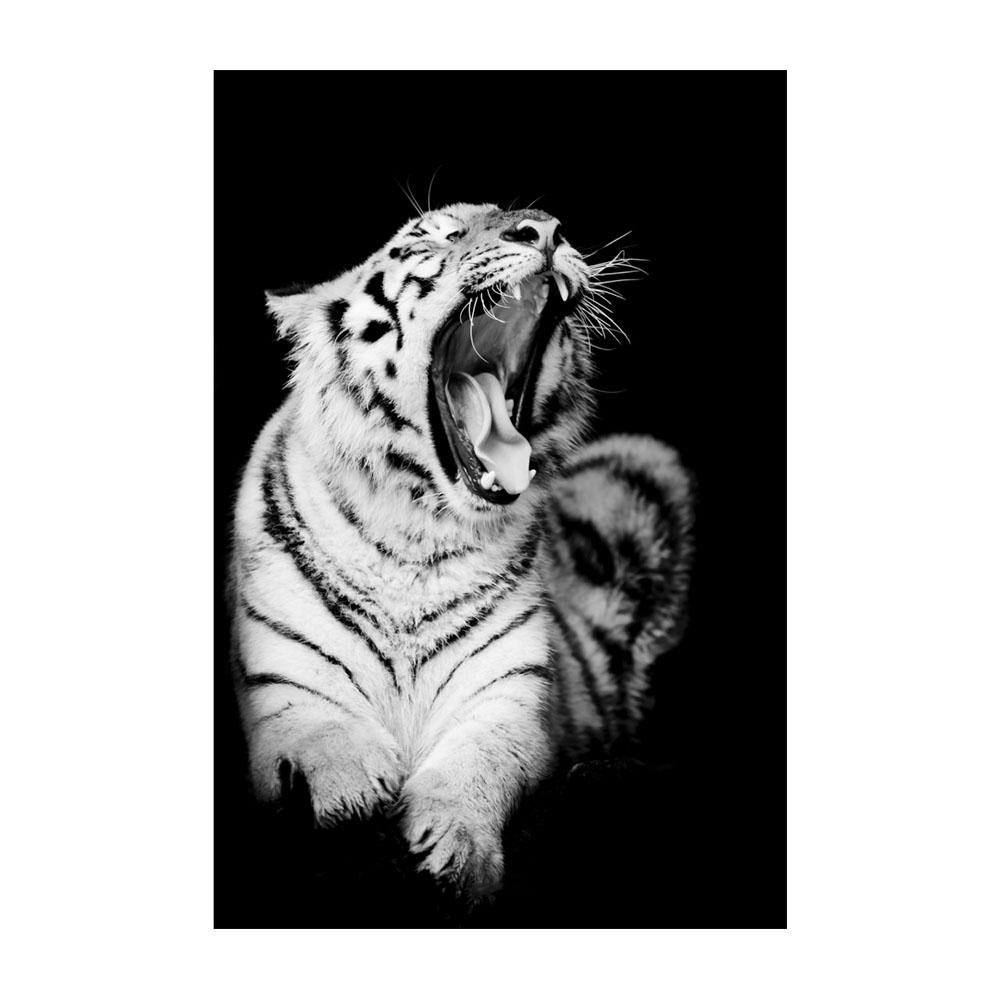 Тигр Леопард Голова Льва Животные Холст Стена Черно-белое Искусство В Темноте Поп Прохладное Искусство Современная Живопись Домашние Картины Украшения Плакаты Принты