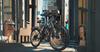 PASEBIKE C29 Electric Bike EU 250W 65Nm 48V 21Ah 25km/h 120km Range 29x2.1 E-bike