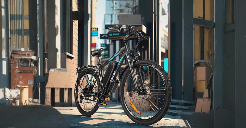PASEBIKE C29 Electric Bike EU 250W 65Nm 48V 21Ah 25km/h 120km Range 29x2.1 E-bike