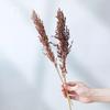 Wabi-Sabi Style Dried Flower Vase with Natural Reeds, Cattails, and Wheat (30-40cm)