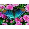 5D DIY Алмазная картина Бабочки и цветы Вышивка крестом Стразы Мозаика Украшения