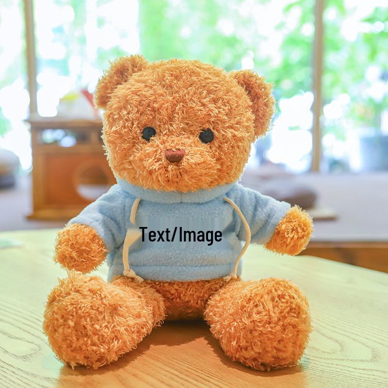 Teddy Bear Sweater Hug Plush Doll for Girls - Valentine's Day or Birthday Gift