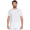 Nike Мужская футболка для фитнеса Nike Dri-FIT AR6029-100