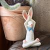 2 шт. Йога Кролик Украшения Ручная роспись Скульптуры Кролика Искусства Из Смолы Ремесла В Помещении На Открытом Воздухе