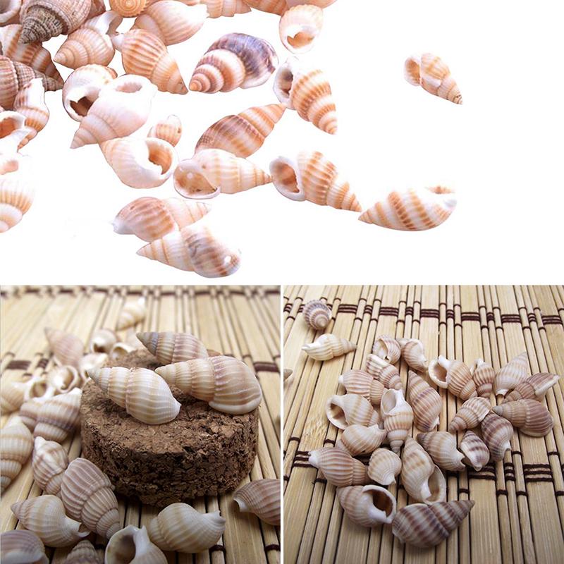 100PCS Natural Conch Shells Aquarium Decoration Party Festival Home Decor Natural Sea Beach Shell Conch Seashells For DIY Crafts
