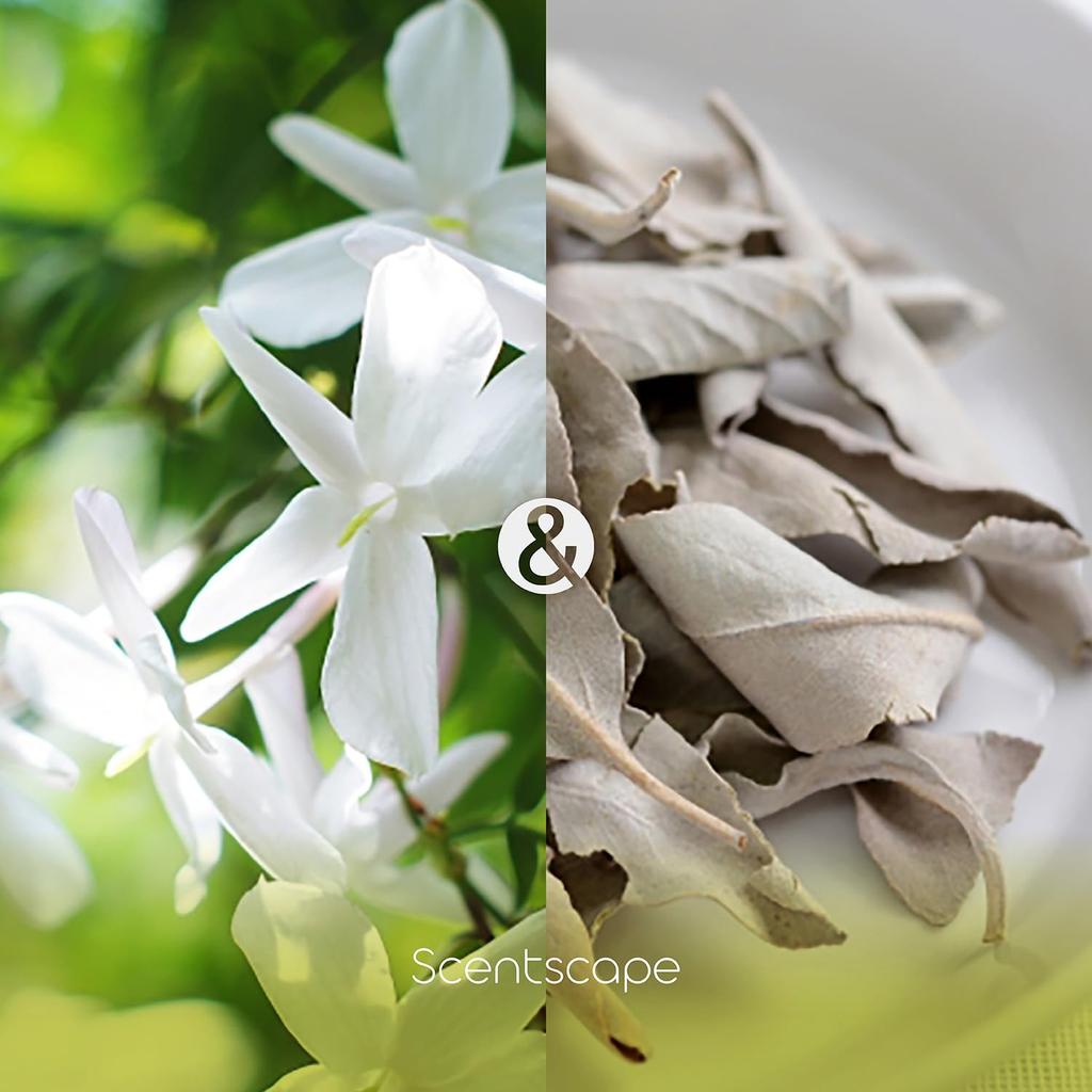 Centscape Jasmine White Sage 30 бутылок и