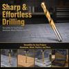 19pcs Roll-Forged High Speed Steel Drill Bits Titanium Coated Straight Shank Drill Bits  For Wood