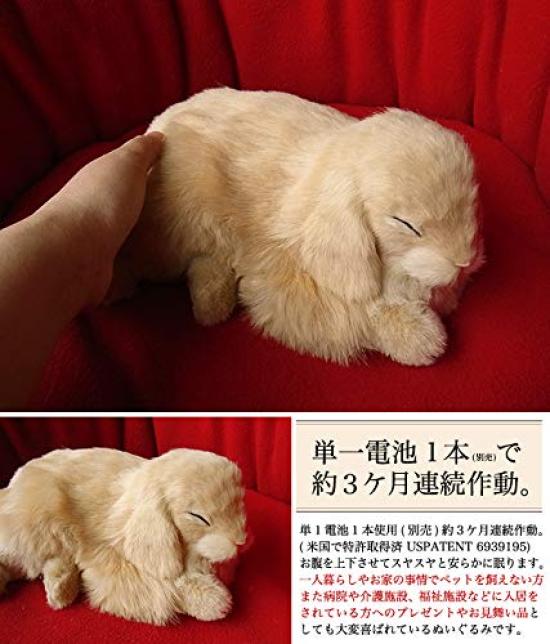 Ninian and Kino Perfect Pet Rabbit Plush Perfect Cute Bunny (Small) Lop-Eared (Beige) Toy, Realistic, Lifelike, Animal, Soothing, Moving, Gift,
