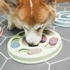 Dingdong Pet Pet Intelligence Development Puzzle Snack Toy IQ Toy Round Diameter 23cm X Height 2.5cm, Mint, 1 Piece