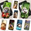 Ёжик Милое Животное Для Samsung Galaxy A53,31,52,72,41,Note,J7,8,9,5G,22,73,32,71, Мягкий Черный Силиконовый Чехол