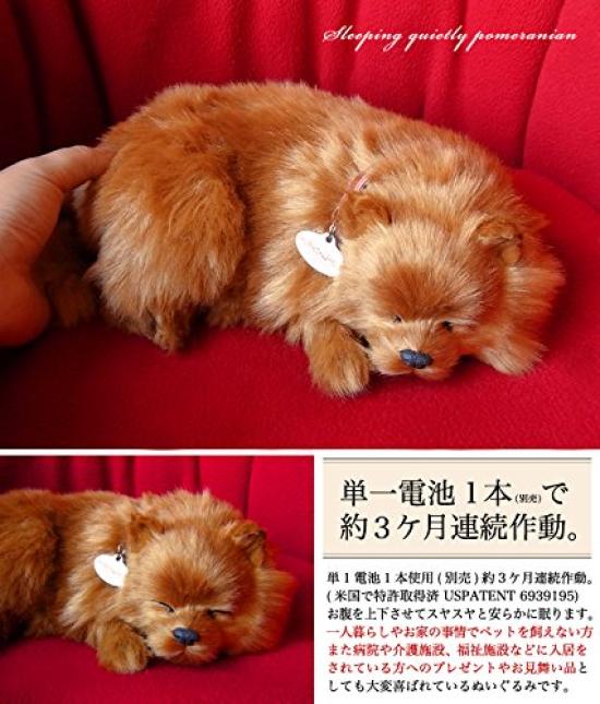 Ninian and Kino Perfect Pet Pomeranian Stuffed Animal Dog Realistic Goods Animal Healing Moving Present Gift Celebration Cute Dog Stuffed Animal