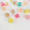 Transparent Mini Hair Claw Hair Clip Flower Mini Hair Claw Retro Star Hair Crab Clip  Women