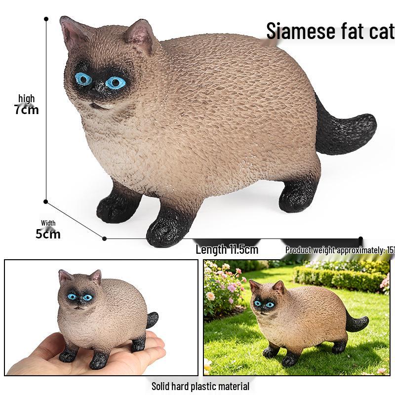 Трансграничная когнитивная фигурка кошки: Короткошерстный, Черно-белый котенок, Модель кошки персидской и рэгдолл