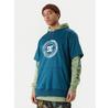 Толстовка DC Shoes Dryden
