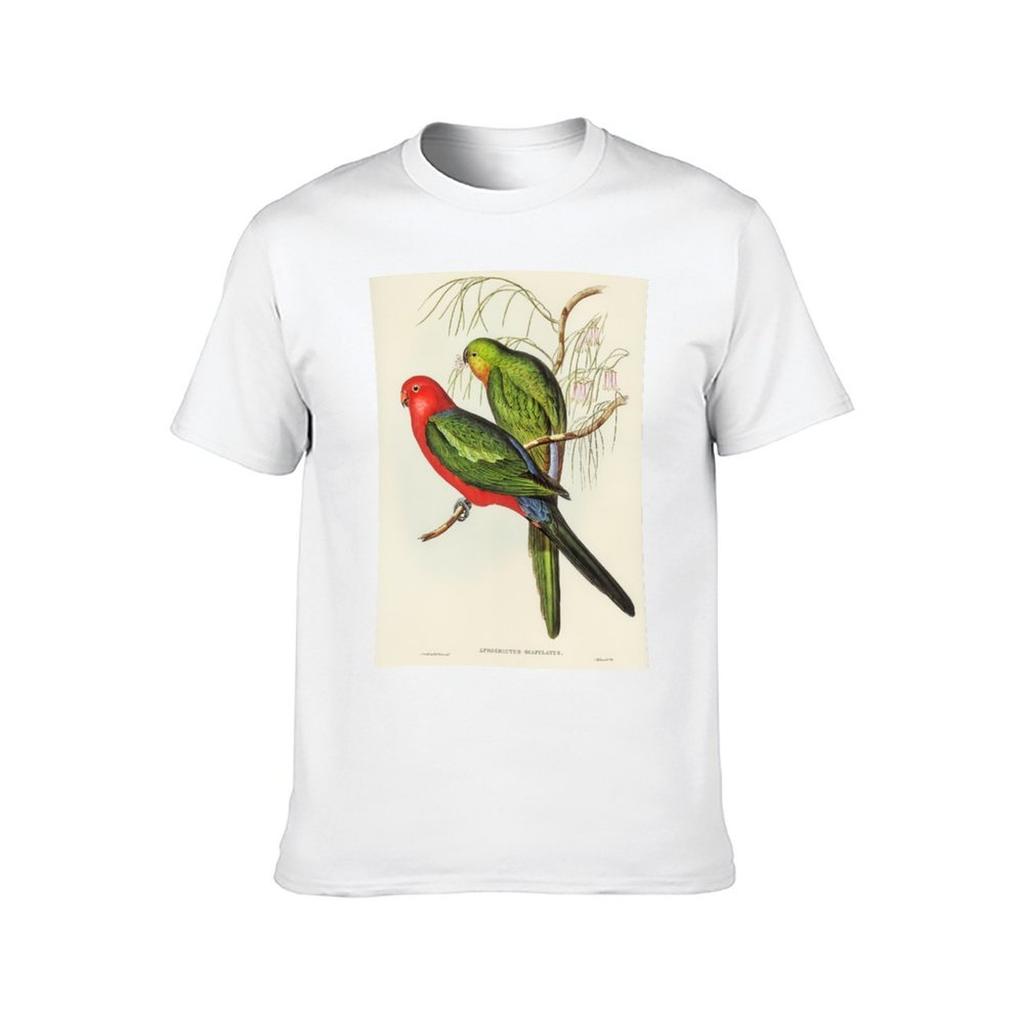 shirts John white for T-Shirt shirts t t man King man Parrot Gould pack cotton pack for