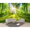 Natural Scenery Mural Landscape Sunlight Forest Wallpaper Tv Sofa Background Wall 3d Wallpaper