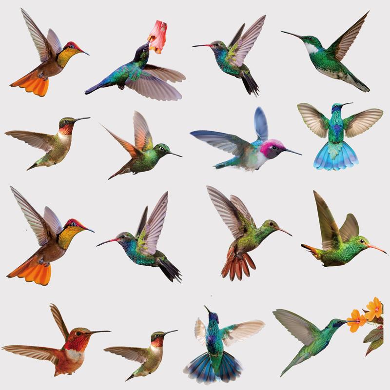 9 больших красивых наклеек на окна с колибри-наклейки на окна с колибри против столкновений с птицами-двусторонние статические наклейки на окна