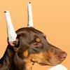 10Pcs Soft Foam Rods Dog Ear Stand Up Tool Prevent Ear Fold Dog Ear Erecting Kit  Dog Accessory