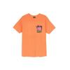 Stussy Palm Desert Pigment Dyed Long Sleeve Tee 1904563