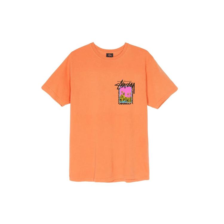 Stussy Palm Desert Pigment Dyed Long Sleeve Tee 1904563