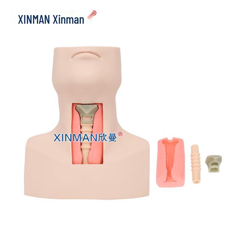 Продвинутая модель для обучения крикотиреотомии и трахеотомии XINMAN