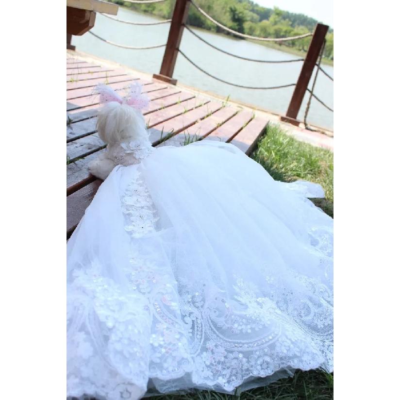 Fine Sequin Embroidery Pet Dog Clothes Luxury Handmade White Lace Long Tail Princess Dresses For Small Medium Dog Puppy Skirts