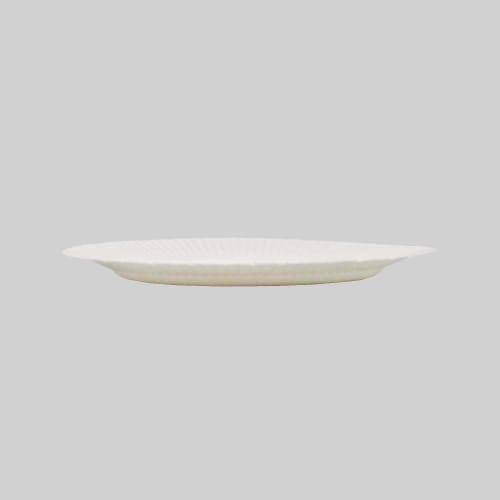 Paperware Paper Plates, 18cm, Extra Pack of 120 (100 + 20), Made in Japan, E-18120