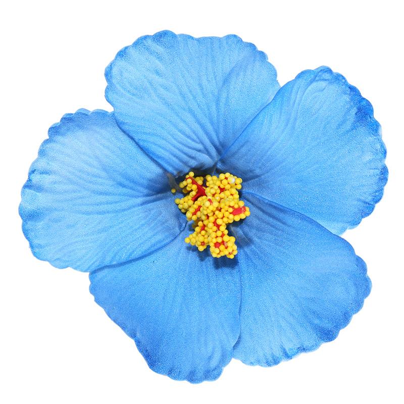 Гавайские красочные заколки для волос с цветами для женщин и девочек, романтические богемные заколки с челкой на бок, заколки для волос Bb, аксессуары для волос