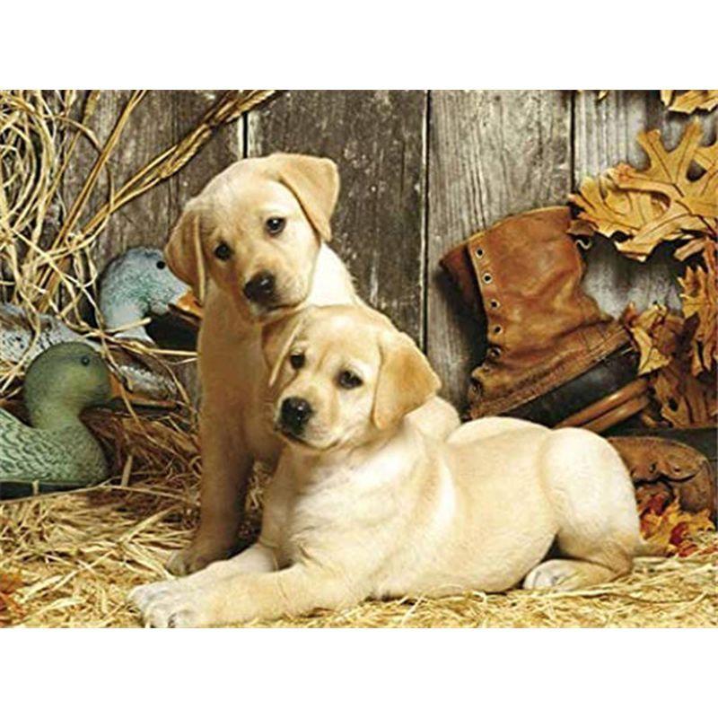Diamond Frameless Art 5d Painting Kits Dog Diamond Embroidery Mosaic Animals Crafts Pictures For The Home Decor