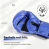 Bingteng Shengshi Professional Boxing and Training Gloves