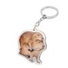 Creative Capybara Acrylic Keychain KeyRing Cute Cartoon For Women Animal Capybaras Popular Key H1T0
