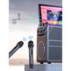 SANSUI C18 All-in-One Outdoor Karaoke Machine