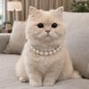 Simulated Pearl Cat Bead Collar Bling Pet Simulated Pearl Collar Pet Pearl Necklace  Pet Show