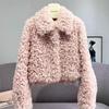 Autumn and Winter New Imitation Lamb Wool Short Fur Coat Women's Thickened Fashion Imitation Wool Roll Coat