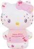 Hassy Sanrio Hello Kitty Coin Pods Hello Kitty 50th Anniversary Top-in SR-3512