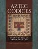 Книга Aztec Codices : What They Tell Us About Daily Life