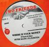 Disco de 12 pulgadas PETER MANN FLOURGON Where Is Your Money SIR048 Dos Amigos Rec Desconocido Reggae Ska Dub Usado